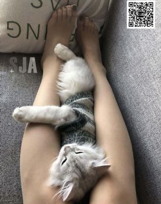 知否知否应是绿肥红瘦在线观看