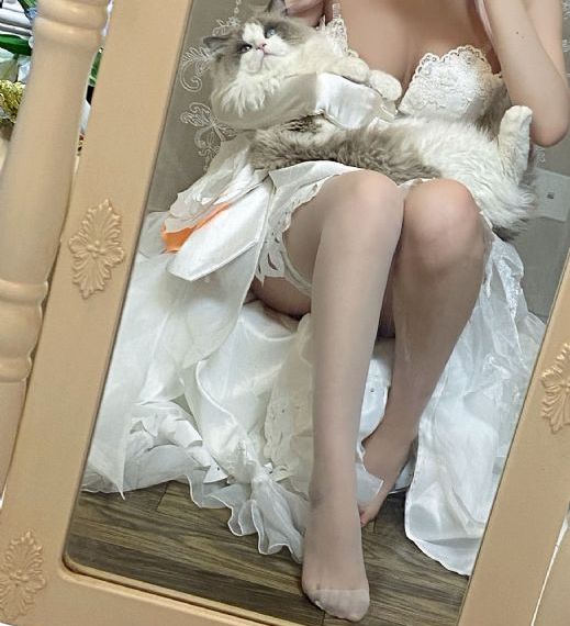 杀破狼电影