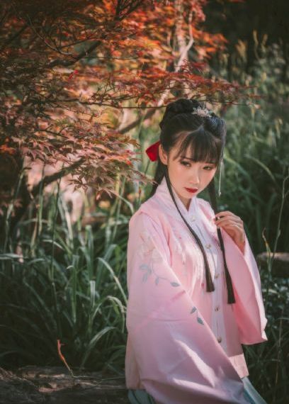 花蝴蝶电视剧在线看免费豆瓣评分