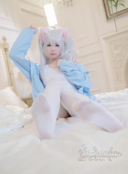 考拉大冒险