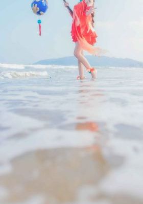以爱为营电视剧免费观看全集