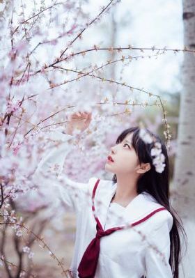 总攻cao烂双性美人h
